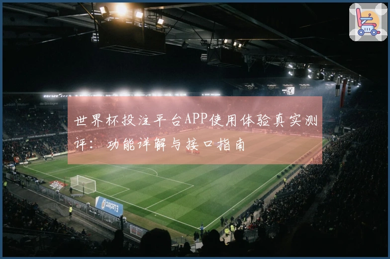 世界杯投注平台APP使用体验真实测评：功能详解与接口指南