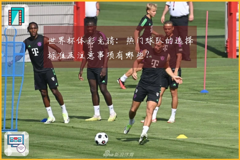 世界杯体彩竞猜：热门球队的选择标准及注意事项有哪些？