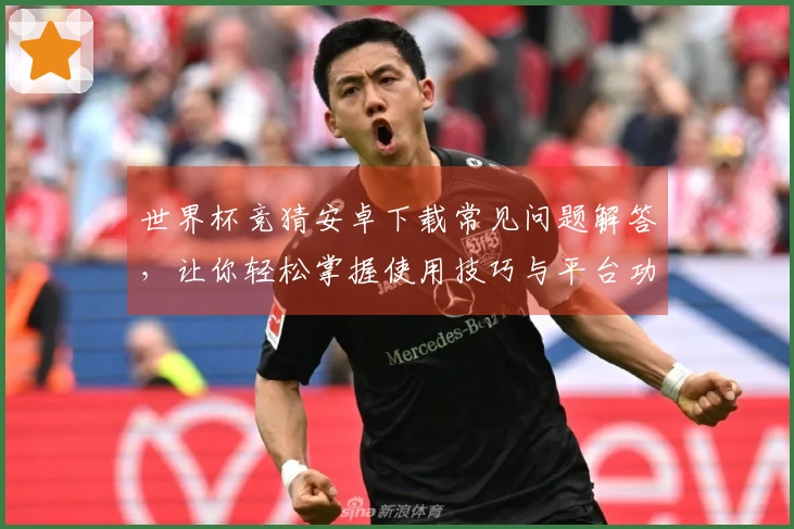 世界杯竞猜安卓下载常见问题解答，让你轻松掌握使用技巧与平台功能