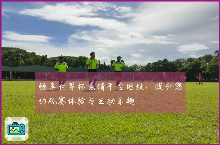 畅享世界杯竞猜平台地址，提升您的观赛体验与互动乐趣