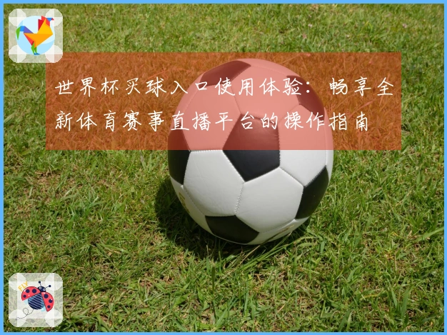 世界杯买球入口使用体验：畅享全新体育赛事直播平台的操作指南