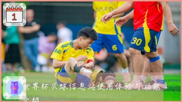 世界杯买球信息站使用体验与功能介绍