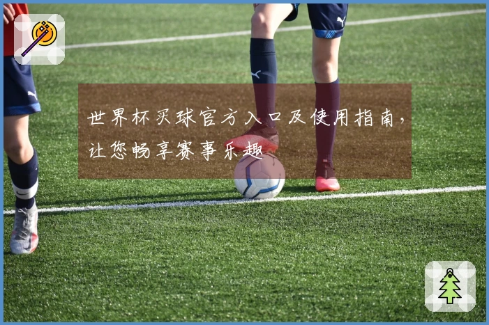 世界杯买球官方入口及使用指南，让您畅享赛事乐趣