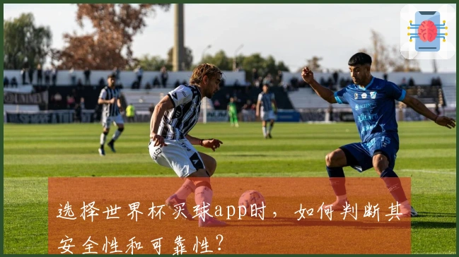 选择世界杯买球app时，如何判断其安全性和可靠性？