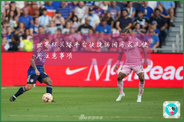 世界杯买球平台快捷访问方式及使用注意事项