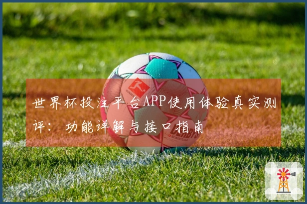 世界杯投注平台APP使用体验真实测评：功能详解与接口指南
