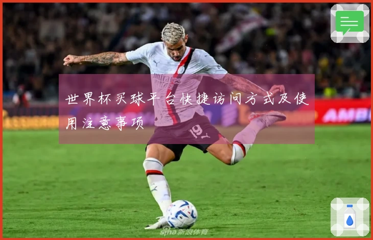 世界杯买球平台快捷访问方式及使用注意事项