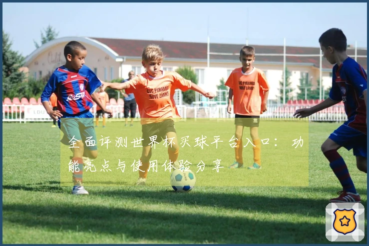 全面评测世界杯买球平台入口：功能亮点与使用体验分享