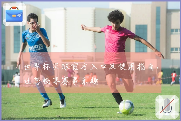世界杯买球官方入口及使用指南，让您畅享赛事乐趣