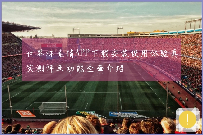 世界杯竞猜APP下载安装使用体验真实测评及功能全面介绍