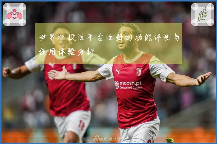世界杯投注平台注册的功能评测与使用体验分析