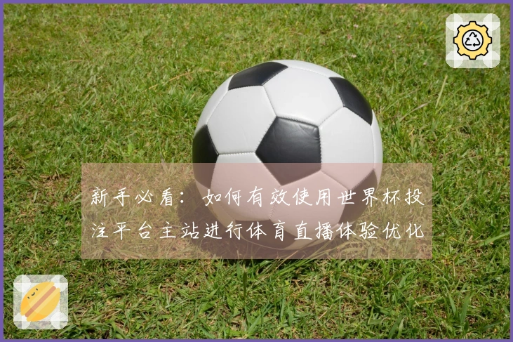 新手必看：如何有效使用世界杯投注平台主站进行体育直播体验优化