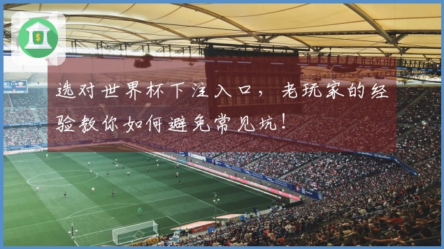 选对世界杯下注入口，老玩家的经验教你如何避免常见坑！