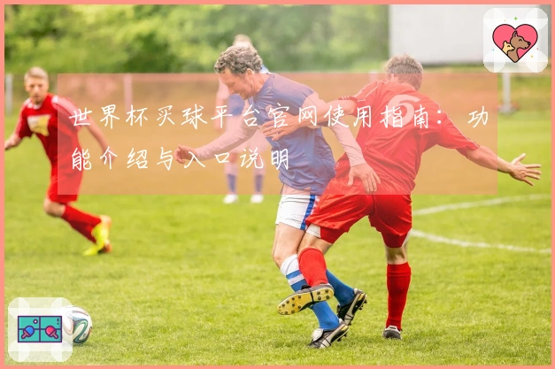 世界杯买球平台官网使用指南：功能介绍与入口说明