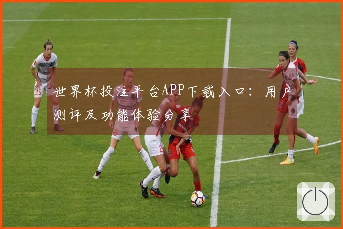 世界杯投注平台APP下载入口：用户测评及功能体验分享