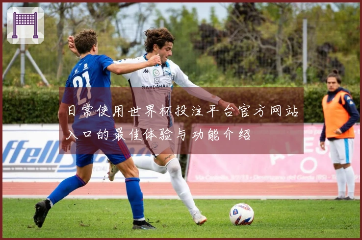 日常使用世界杯投注平台官方网站入口的最佳体验与功能介绍